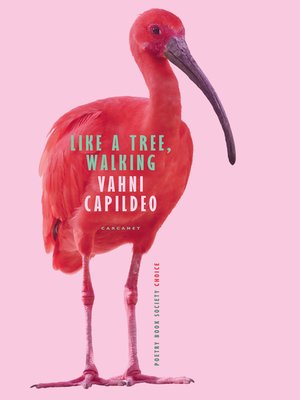 cover image of Like a Tree, Walking